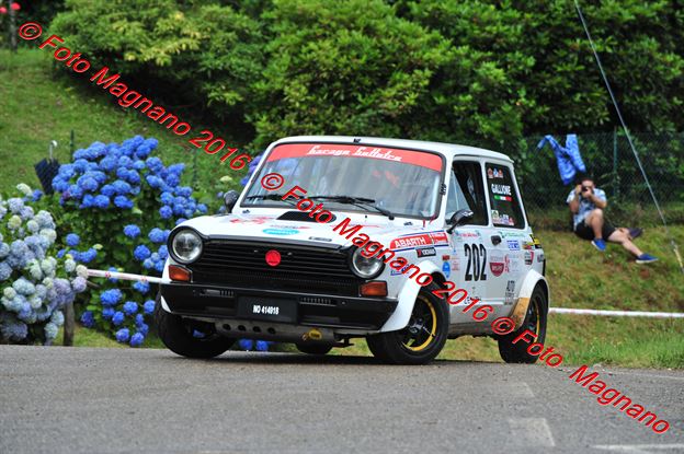 DSC_6564.JPG